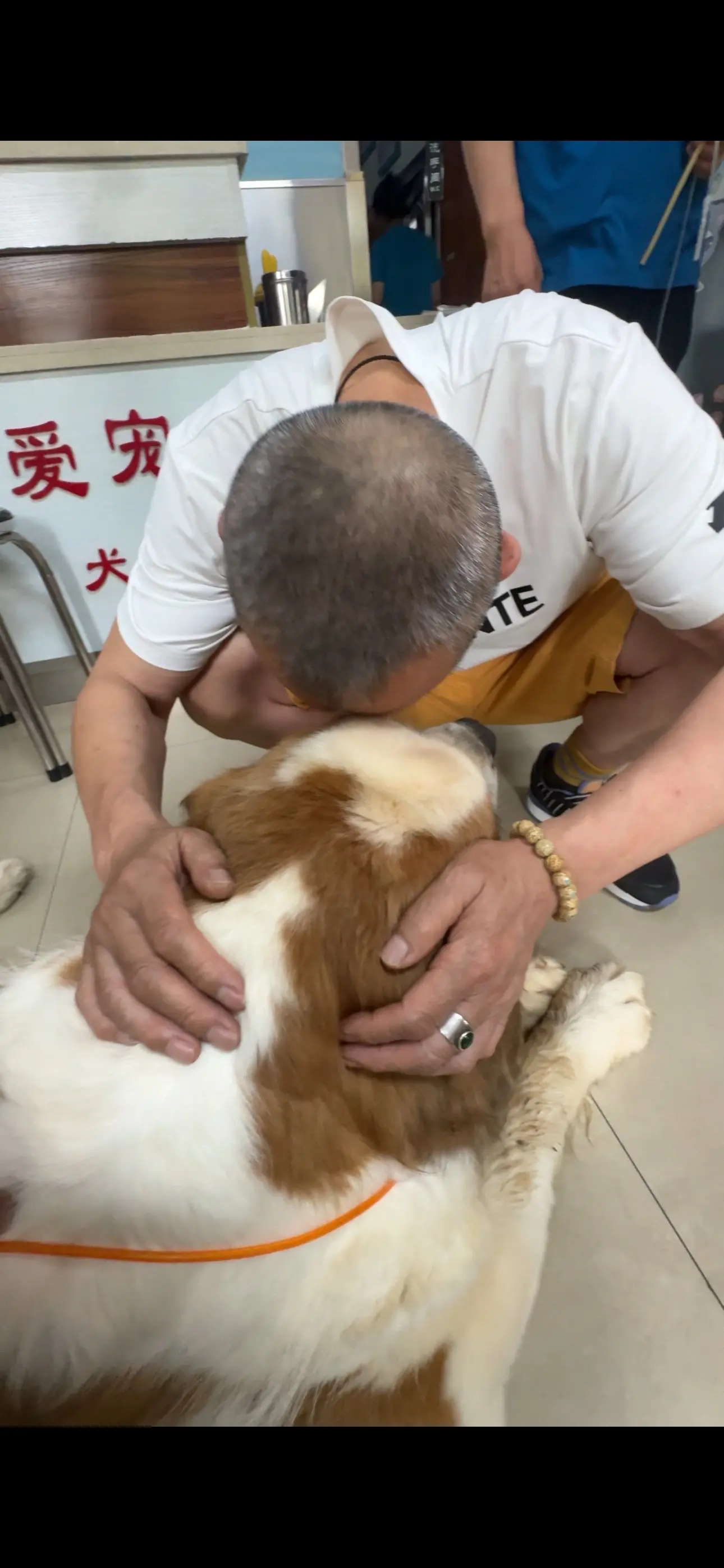 今日的生命接力，真的很暖❤️。今天完成了一场特别的生命接力✅  我家的...
