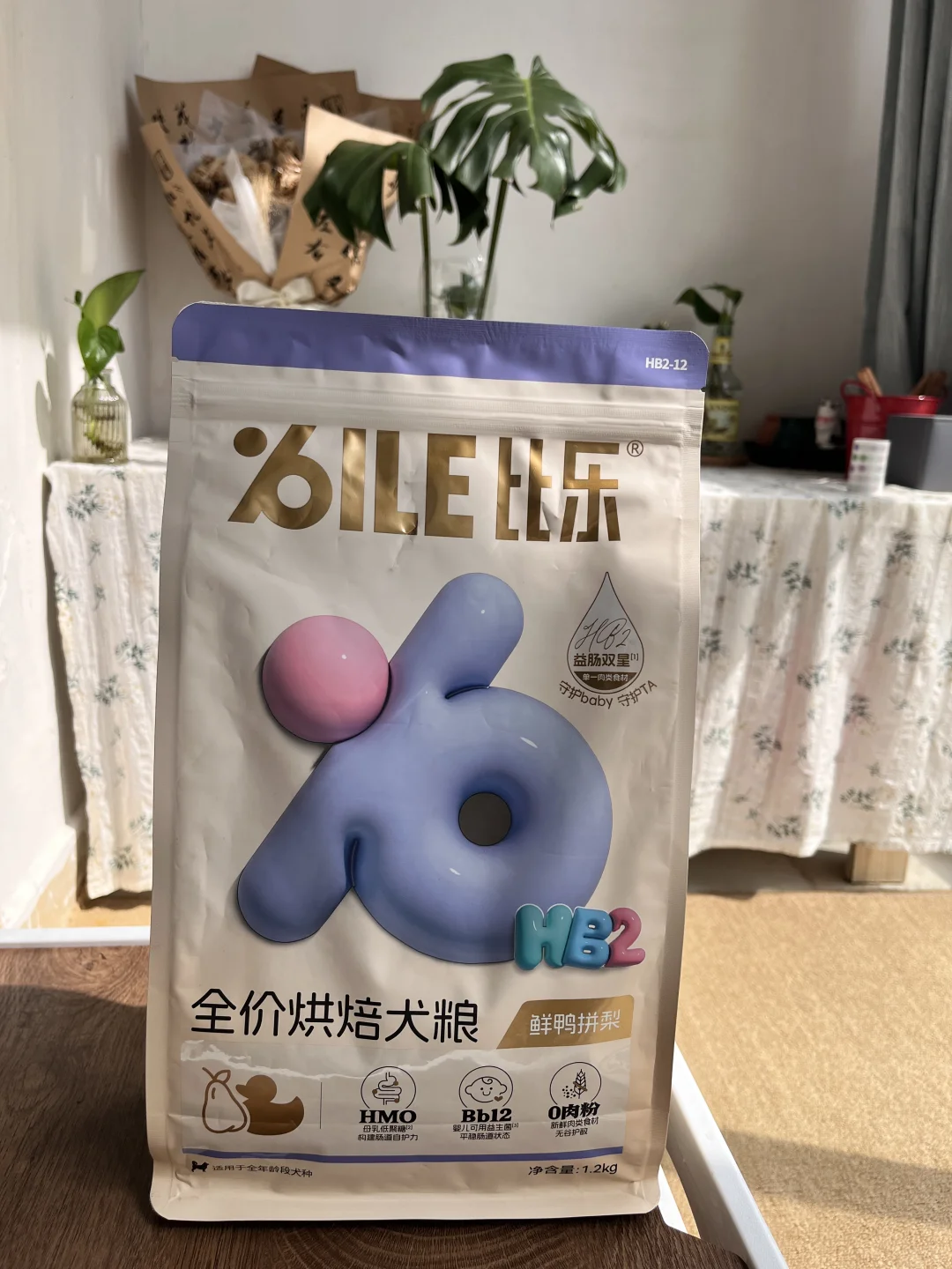 要想小狗肠胃好,吃的真的挺重要