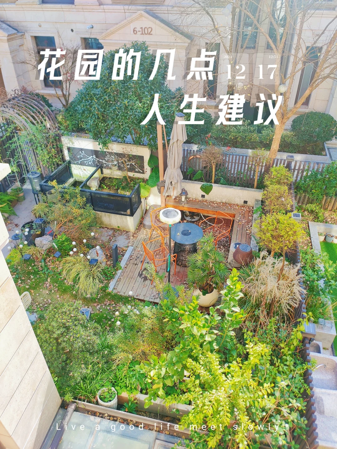 穷人入住别墅3年，花园的几点人生建议