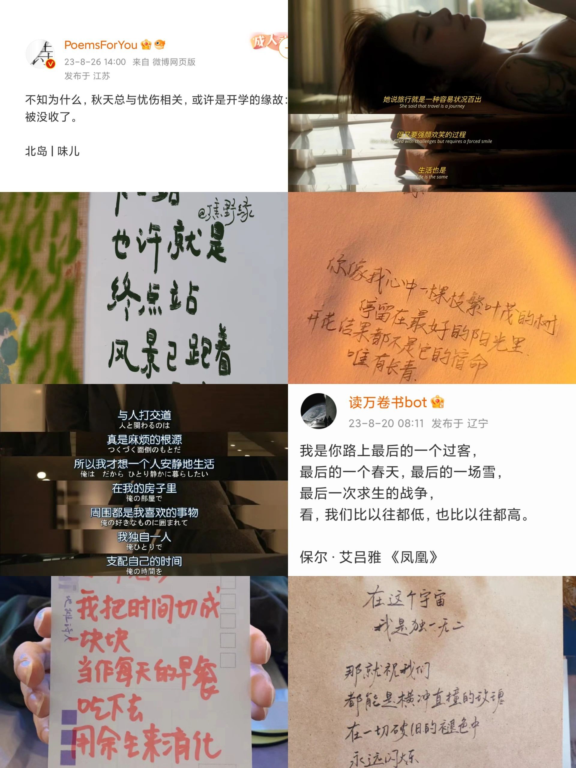 那就祝我们都能是横冲直撞的玫瑰 ​​​