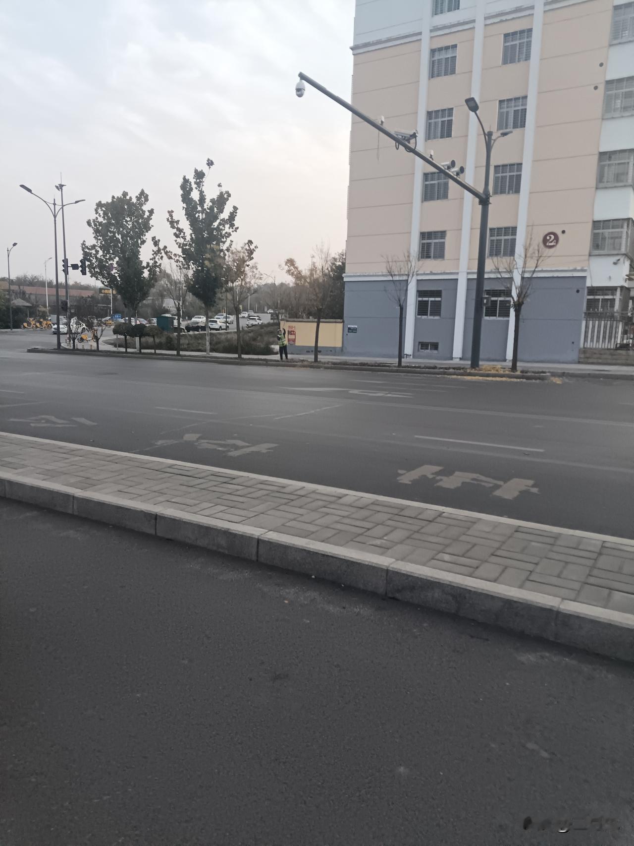 别人的城市，环卫工是低头清扫垃圾呢。我们这里的环卫工，手里拿着杆子，仰头敲打树叶