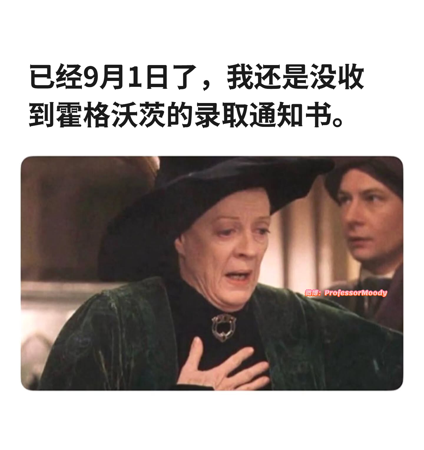 可能是麻瓜meme ​​​