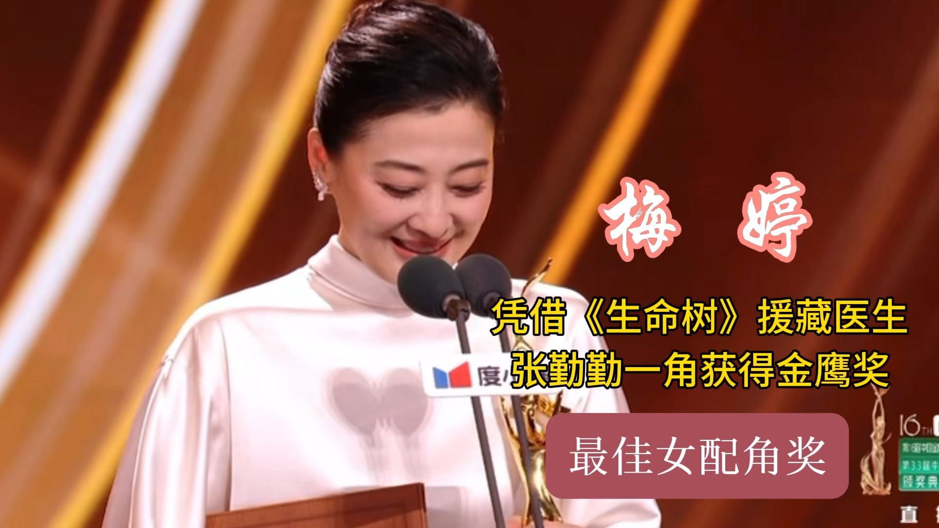 🌟梅婷荣获最佳女配角奖，实至名归！🌟