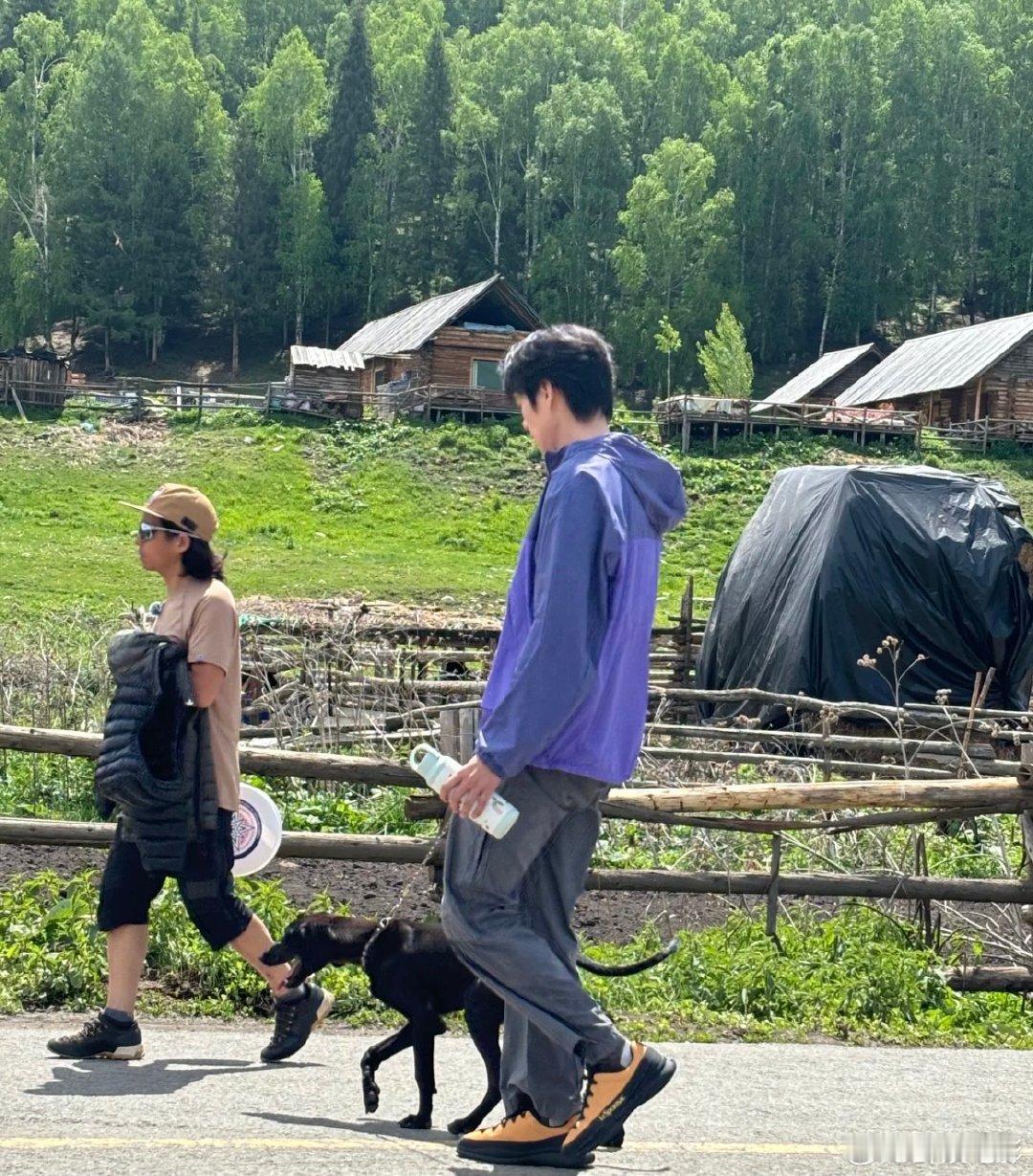 网友禾木偶遇魏大勋林一禾木偶遇魏大勋林一遛狗 谁懂啊家人们！在禾木遇到了魏大勋和