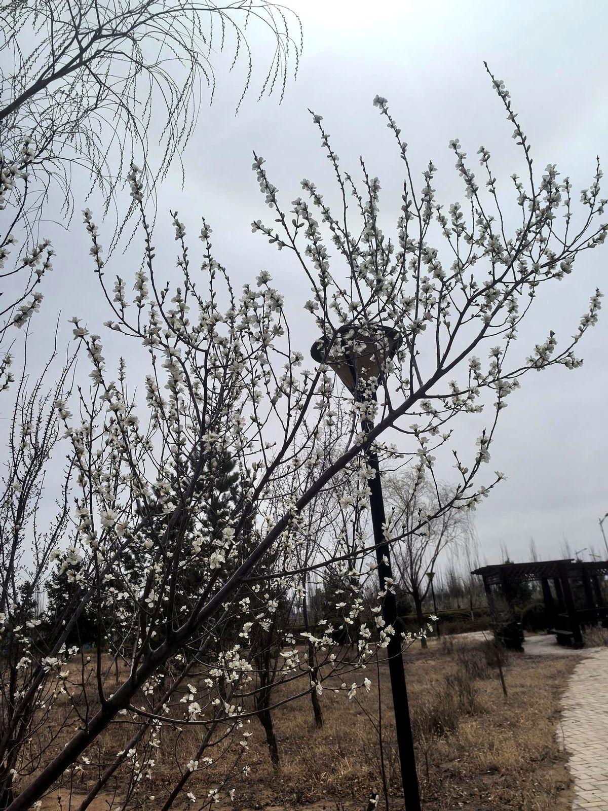 昨晚，朋友圈里那些考研的朋友，好像一夜之间又活了过来。
手机屏幕的光映在他们熬红