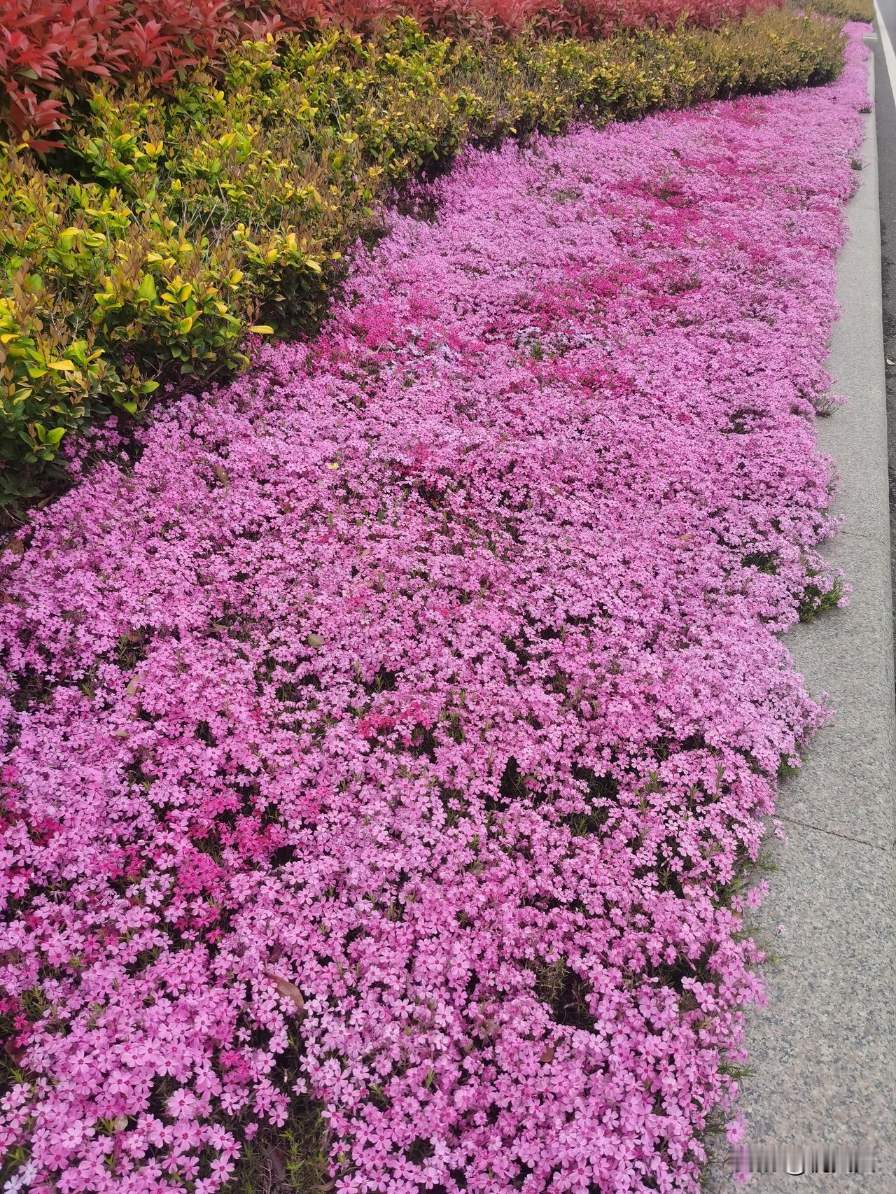 所谓闻道有先后，
术业有专攻。

不要小瞧小人物，
人家不求你帮助就不要主动去帮