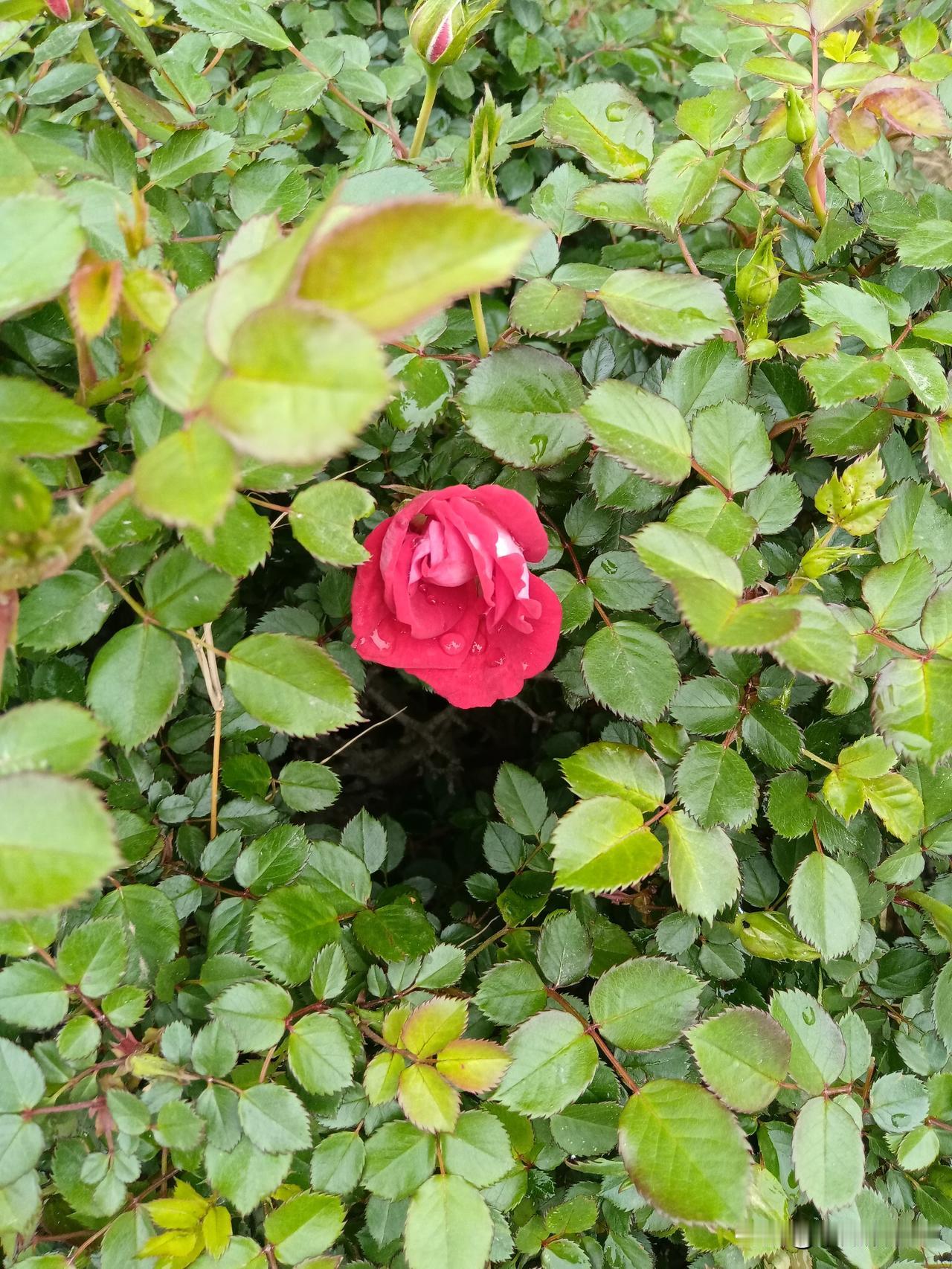 千万别信“指数”！

真心痛！指数跌了，个股肯定跌，亏钱也是理所当然！

然而，