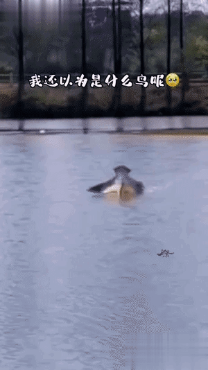 差点以为遇到灵异事件了