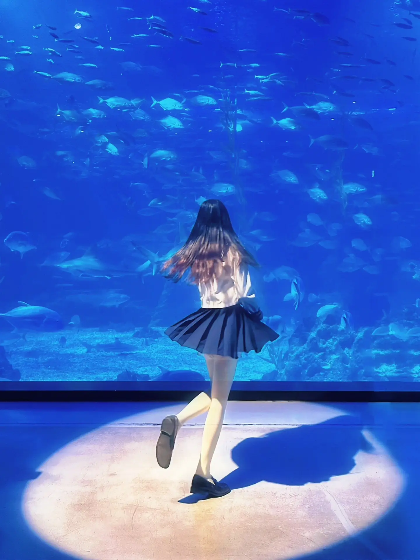 🫧沉入海底世界𓆡𓆝𓆟𓆜。