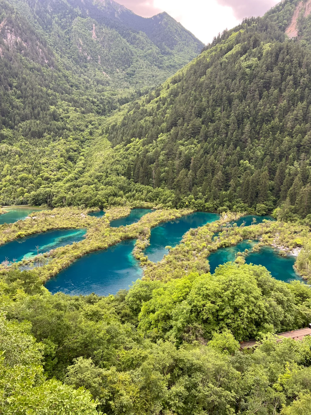 到底是谁在夸九寨沟景区管理能力强？