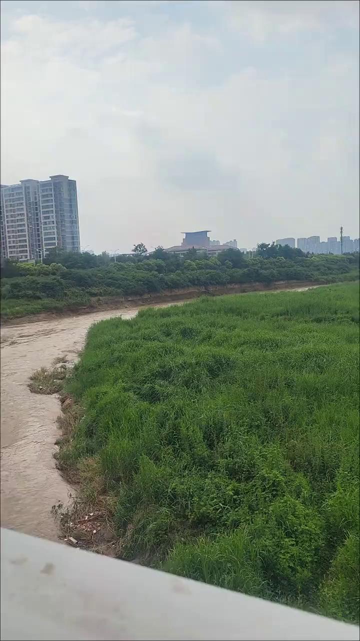 西安城东浐河。
朋友们，我现在是在西安城东浐河桥上，下方就是浐河了。浐河水已经变