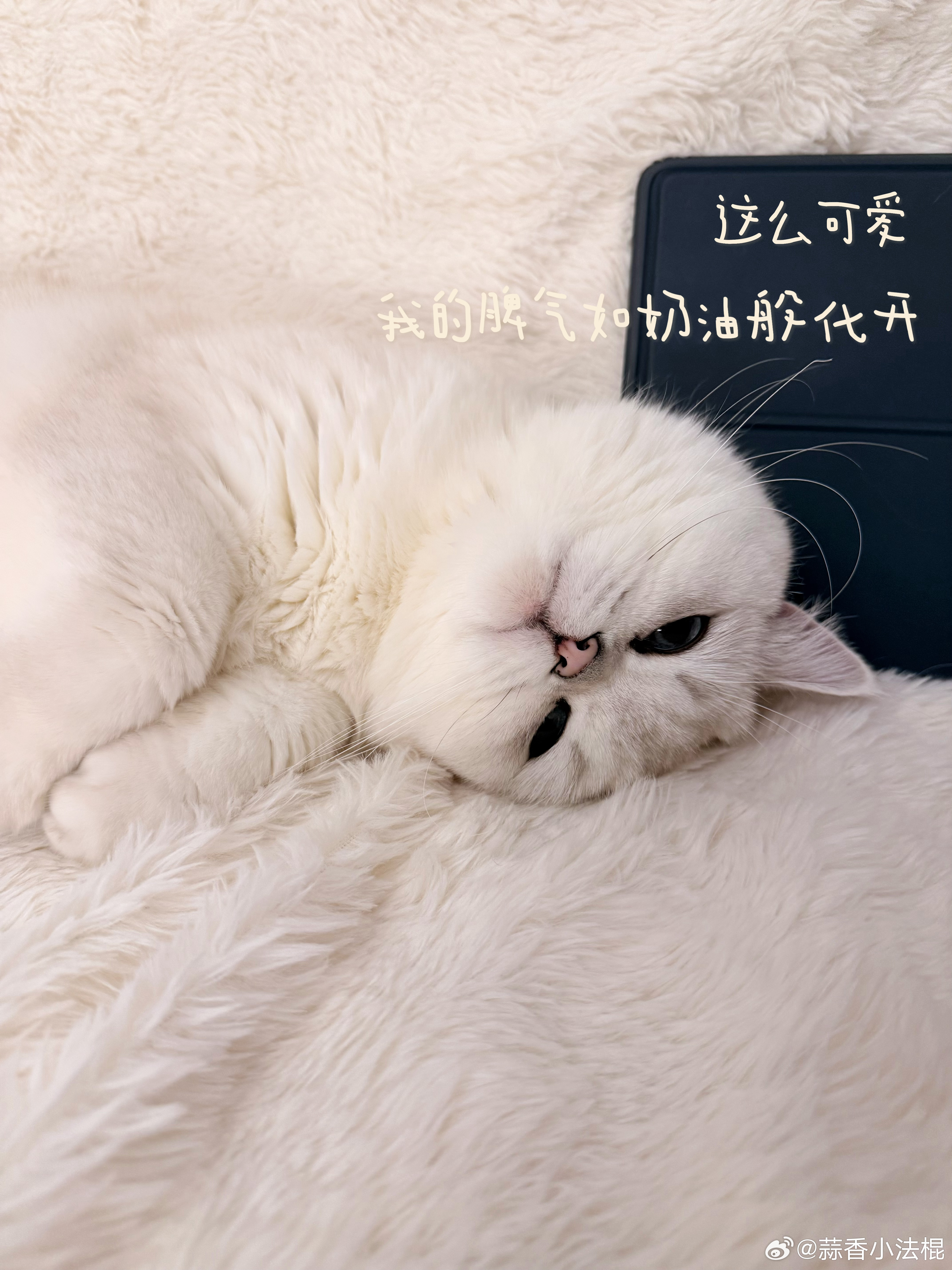 分享图片 