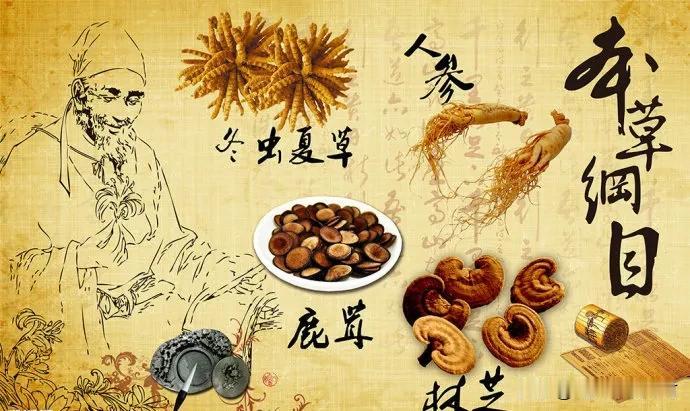 当前，很多人非常认同要弘扬传承中医药文化，近些年社会也是提倡的，其中放开民间中医