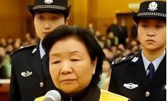 2023年4月，一则新闻在中国互联网上引发广泛关注：河南15岁少年赵某因组织并参