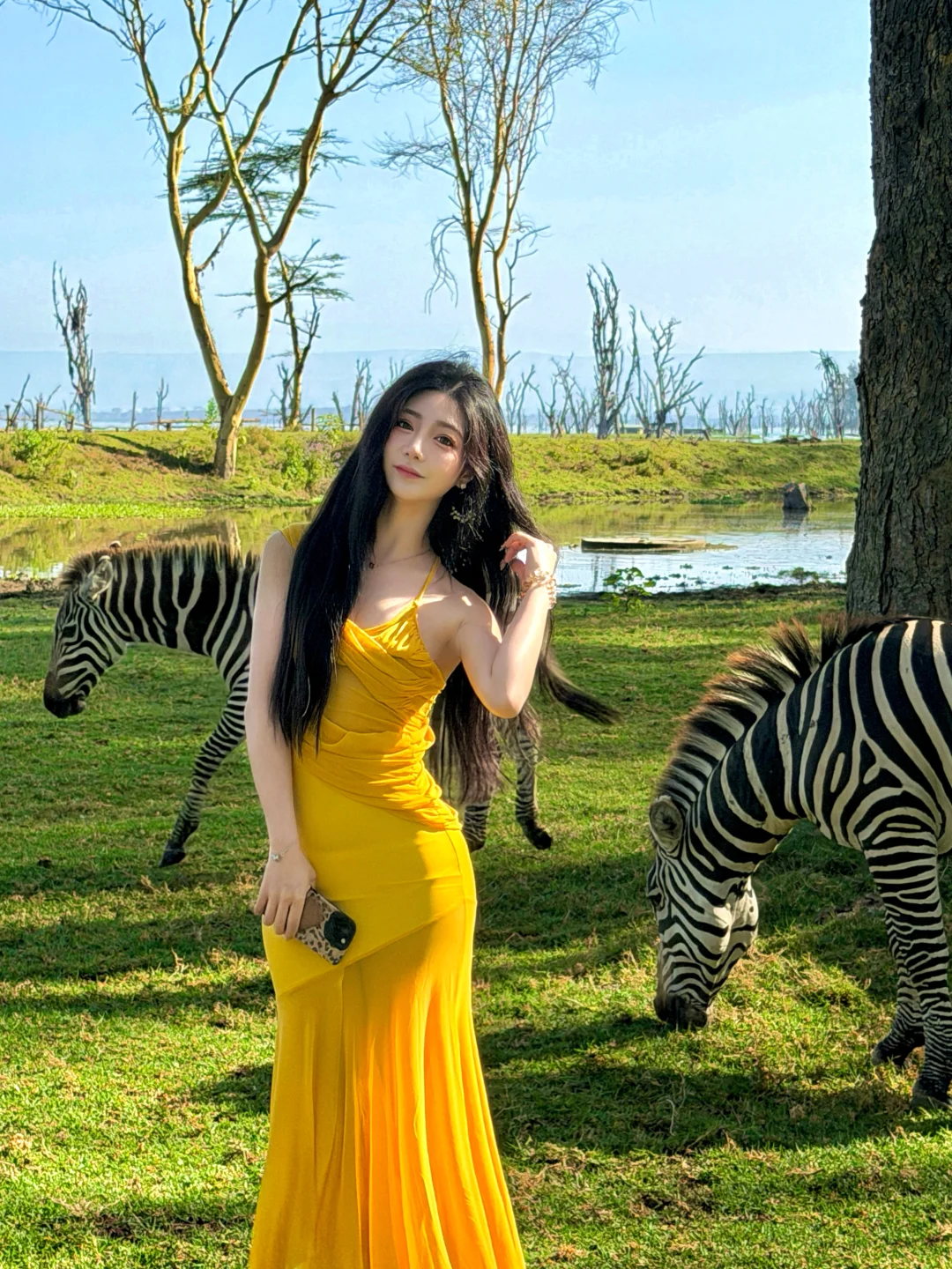 和斑马一起生活是什么体验！