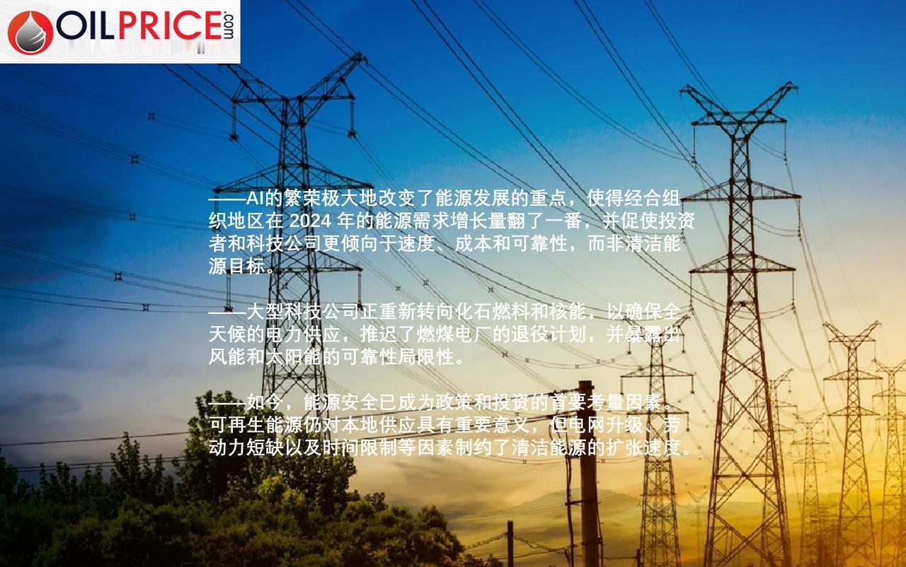 能源投资者调整策略，将重点从清洁能源转向确保电力供应

多年来，能源投资者纷纷涌