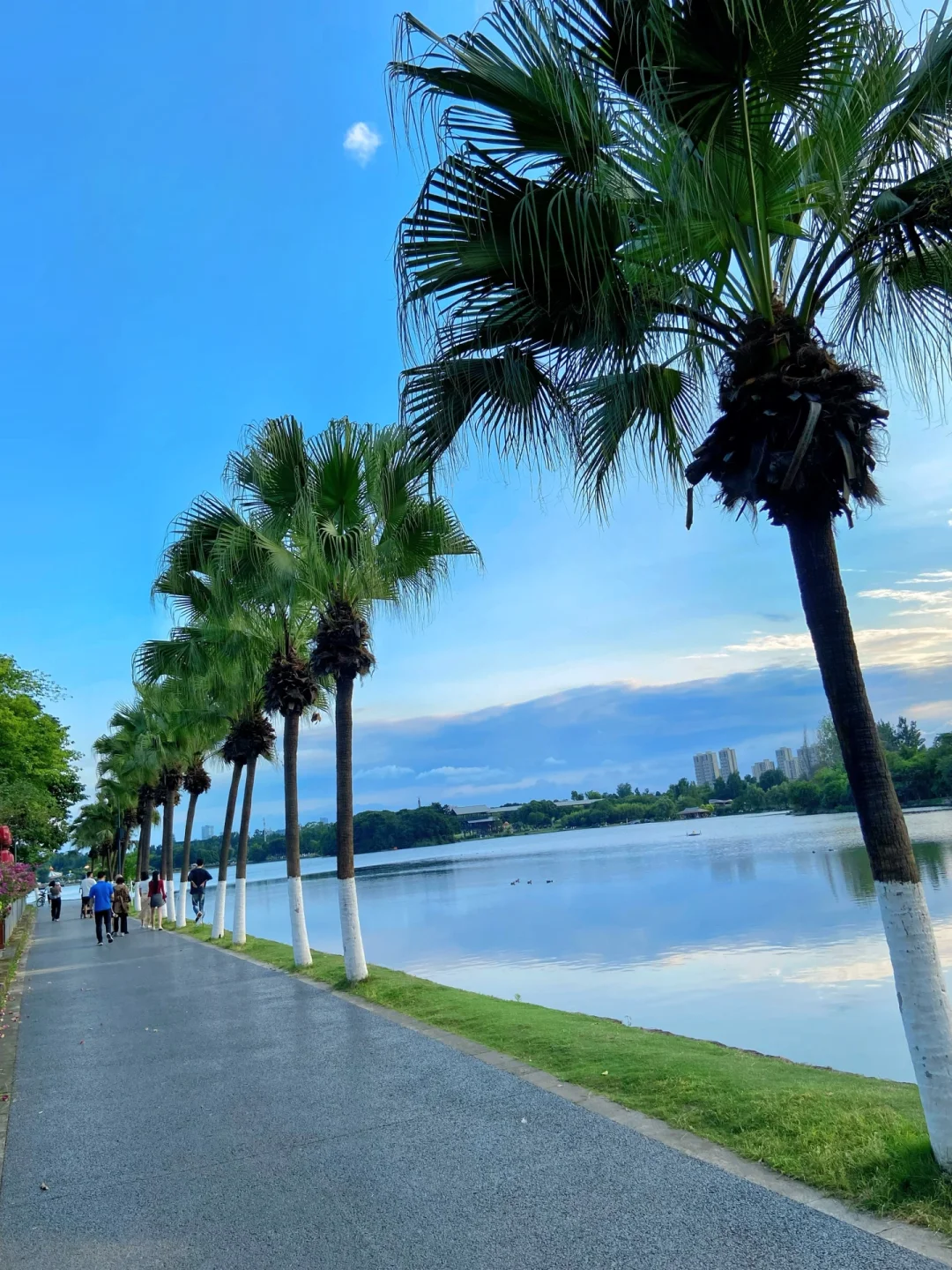 成都春天的一些漂亮公园🍃（合集）