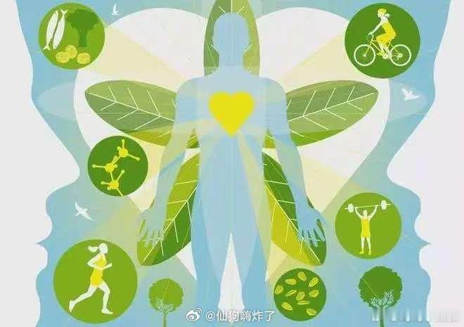 北京春日暴走代谢数据实测奔赴北京春日街头，长距离行走实测代谢真实数据。春日出行放