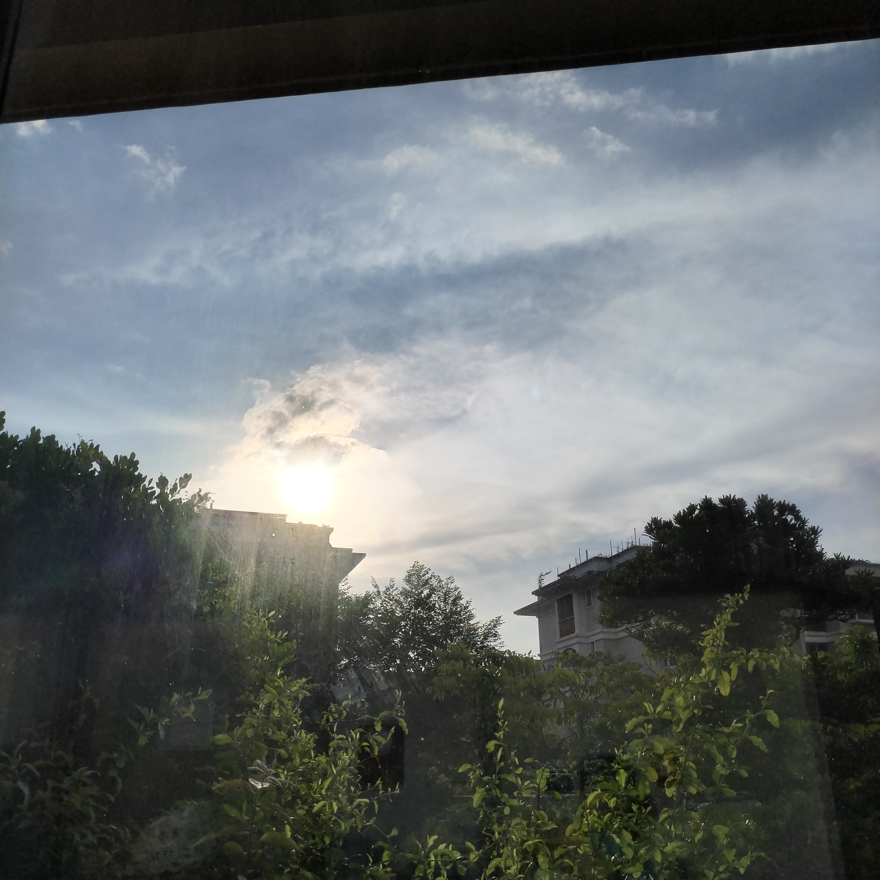 早安，今早的太阳好大 