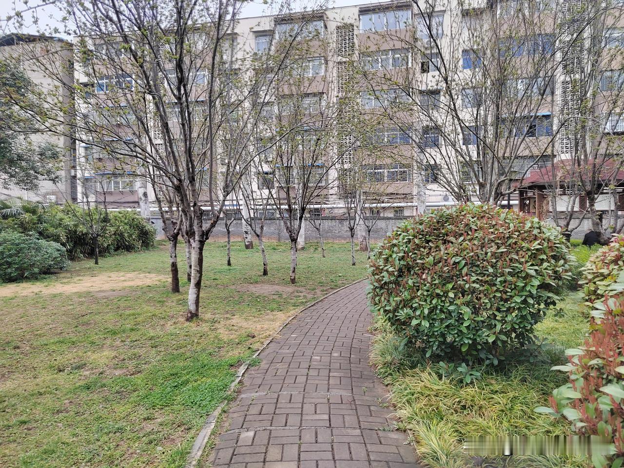 我自由了！
今年2月份，也就是过年放假那会儿，我到站了！
我告别了职业生涯，从此