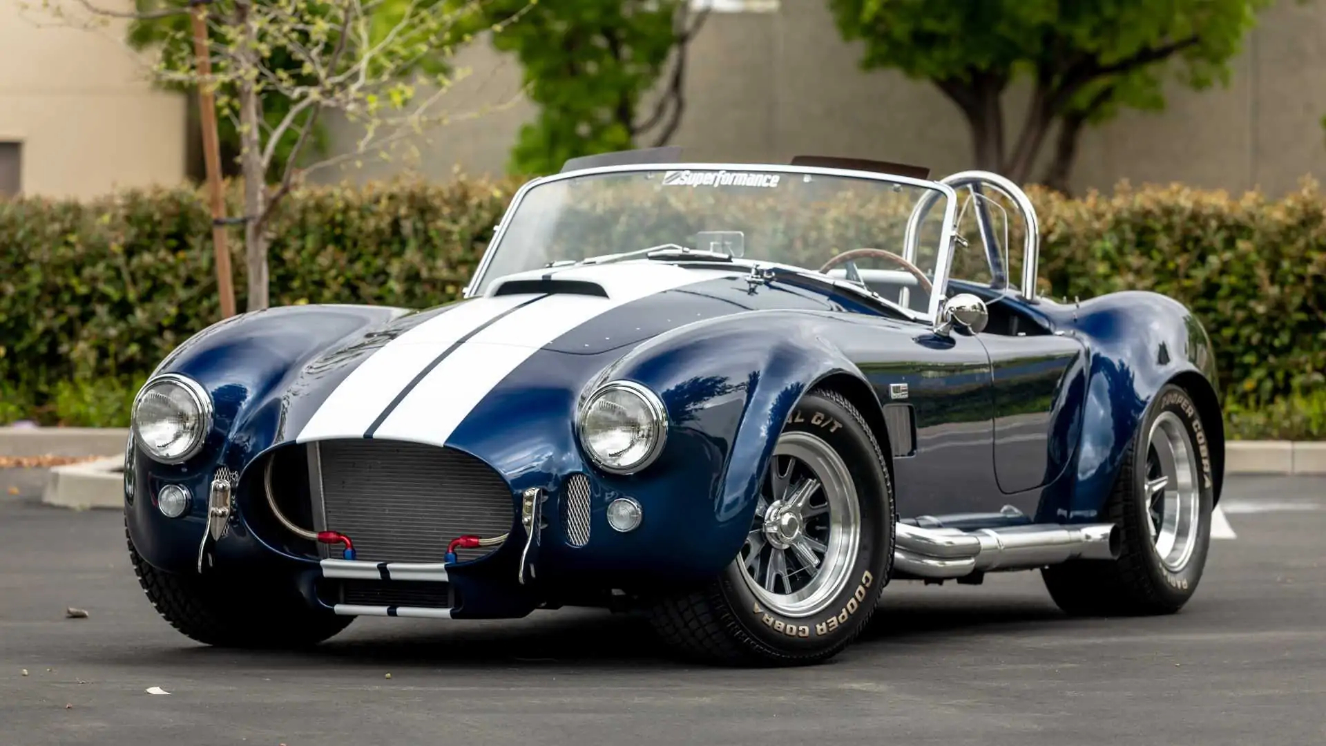 Morning柴斯基的早安图  shelby cobra 复刻