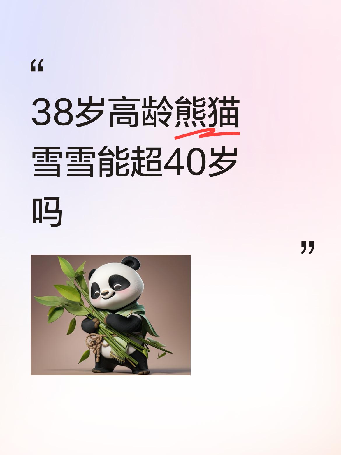 38岁的熊猫雪雪能超40岁吗？太让人期待。雪雪可是位传奇熊猫，1988年出生于四