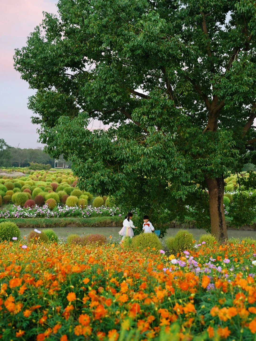 我最喜欢的上海秋日露营喝茶公园（until now