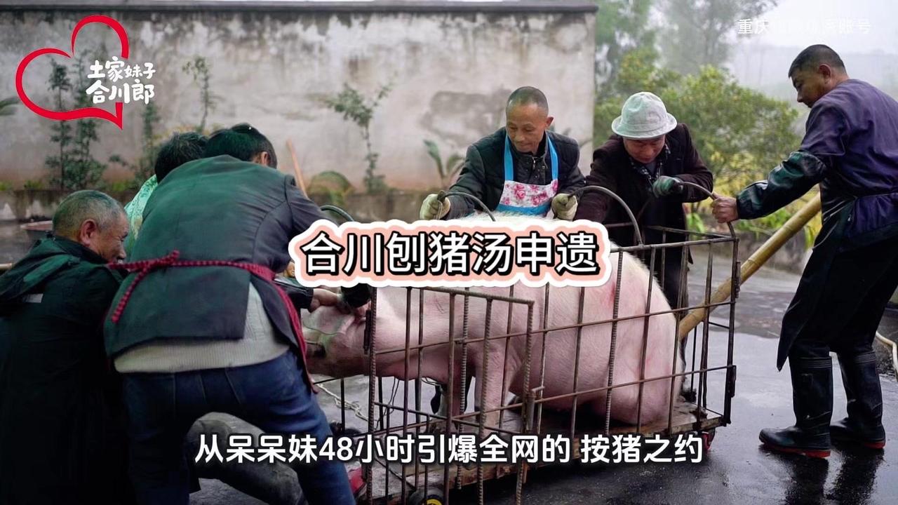 合川刨猪汤申遗了！🐷合川刨猪汤迎来新动向，非物质文化遗产培育申报工作正式启动。
