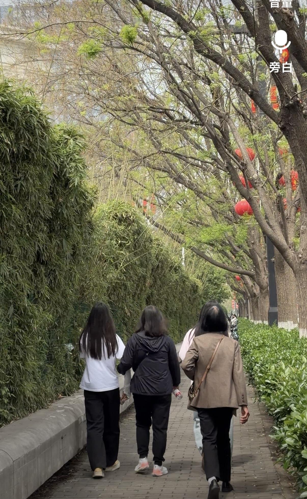 带妈妈赴洛阳牡丹之约，趁时光未老，趁她还能走

周末放下忙碌，专程带妈妈来洛阳看