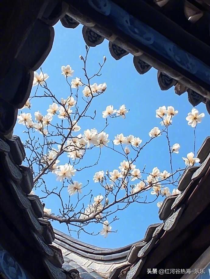 在这繁花似锦的春天，大家都要多出去走走，感受这种春天的气息。

跟大自然接触生物