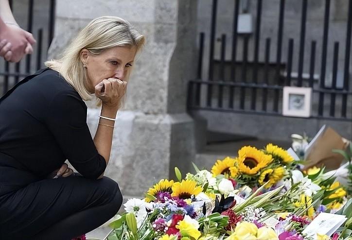 [皱眉]英女王没白疼小儿媳！苏菲为女王守灵哭红了眼，卡米拉摆足王后范。

都说守