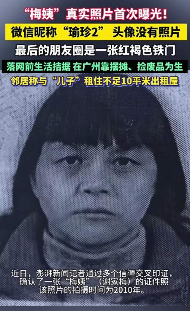 申军良看到那张脸说“就是她”，我却在意她为什么叫“梅姨”
