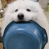 暖意乖爱聚娱乐