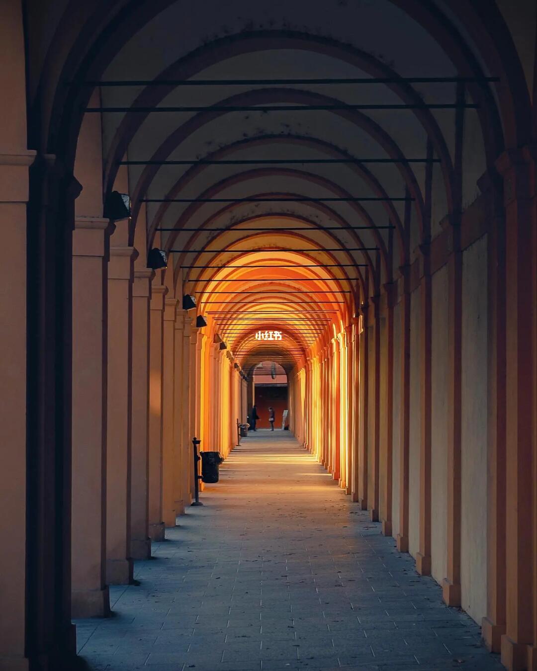 审美提升|每天认识一位摄影大师199