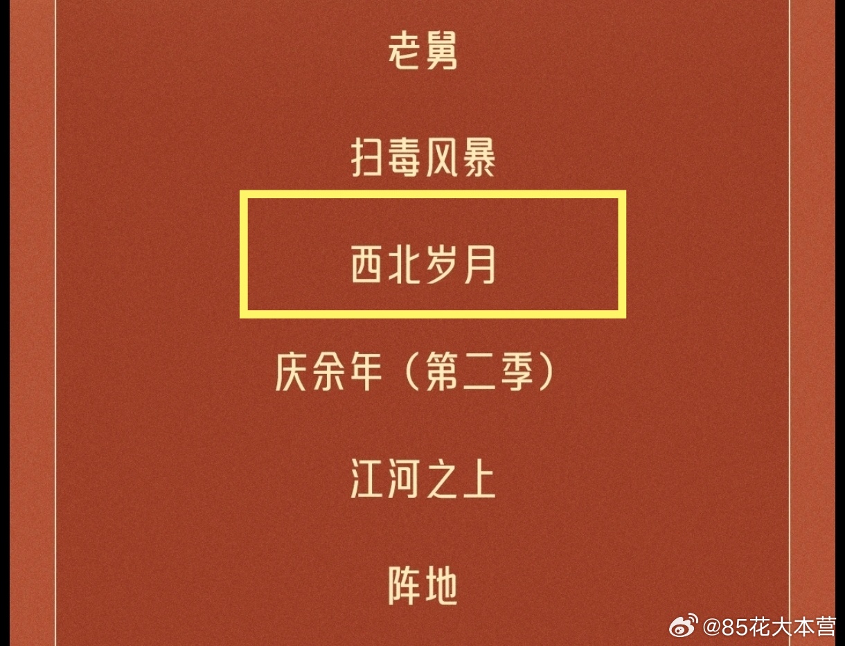 第35届中国电视剧飞天奖提名作品——倪妮｜《西北岁月》提名！飞天奖提名名单 ​​