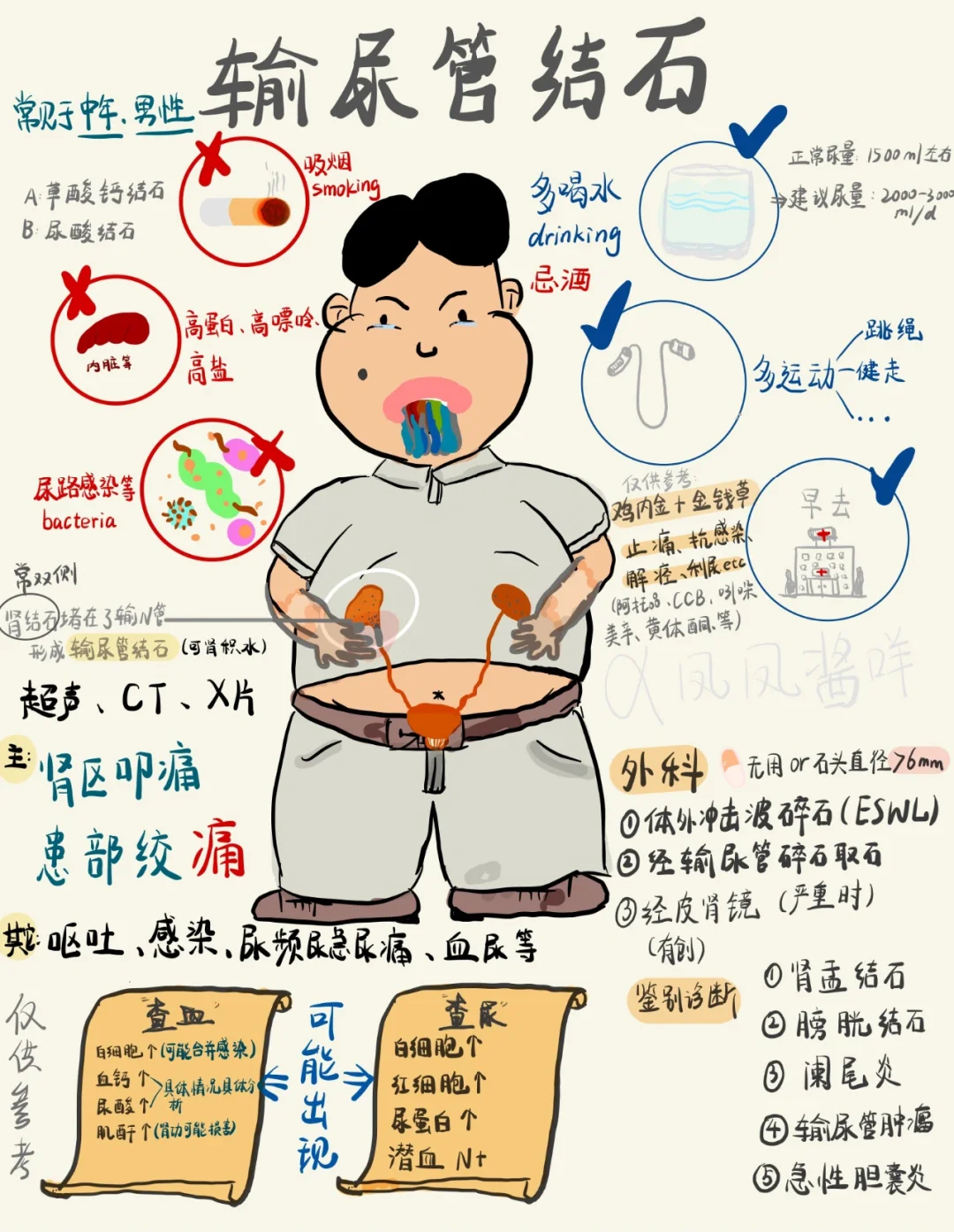 📖医学生笔记 | 输尿管结石 建议点赞收藏