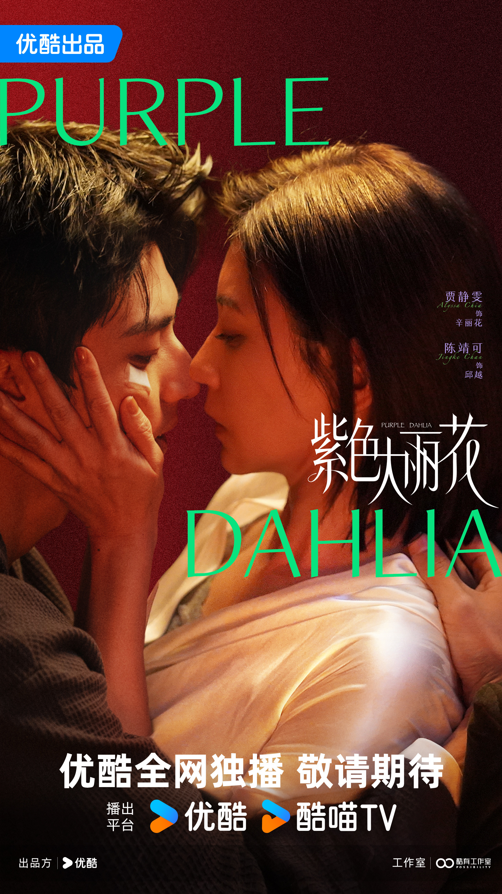 都市剧《紫色大丽花》10集变12集，已过审即将下证，优酷待播！主演：贾静雯、陈靖