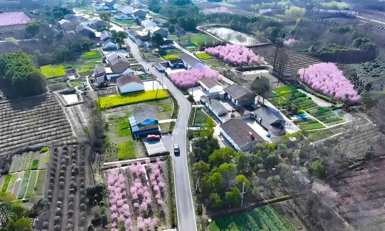 快看过来！合肥各区县民生补贴标准大对比！肥西vs庐江vs巢湖，高龄补贴、残疾人补