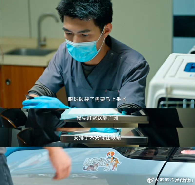 广东的0元宠物救护车第一次知道动物救护车 广东暖心医生免费转运病危毛孩子，70公