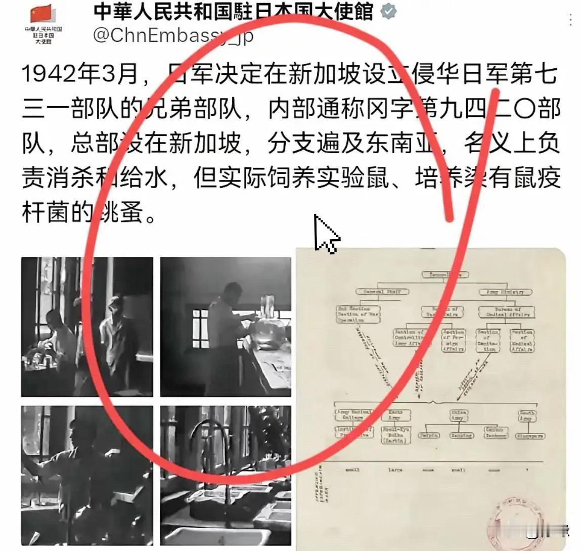 近日网上炸锅了，

中国驻日大使馆突然晒出1942年的档案，说当时日本在新加坡搞