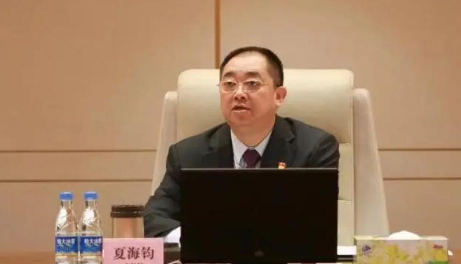 恒大集团原总裁夏海钧被证监会罚了！因为啥？原来恒大地产2019年和2020年的财