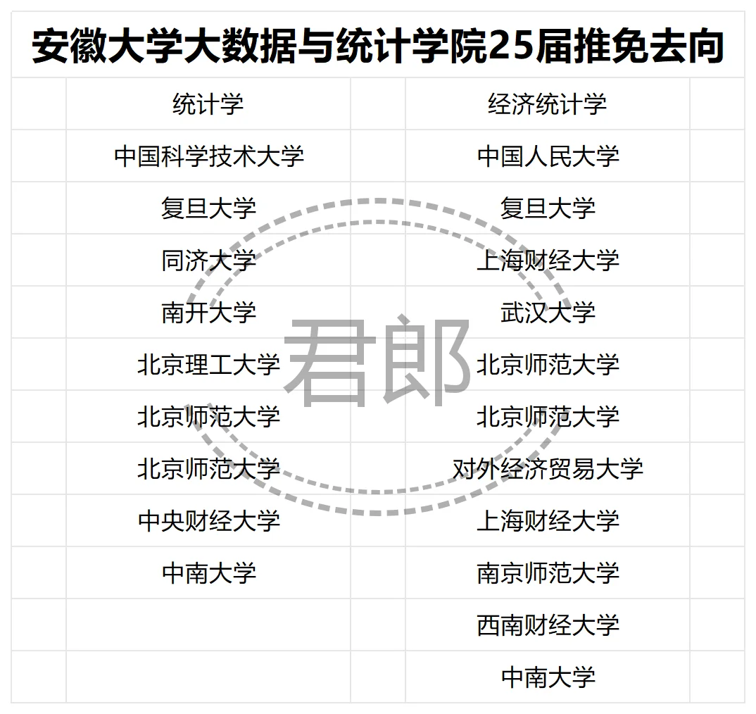 安徽大学大数据与统计25届推免去向