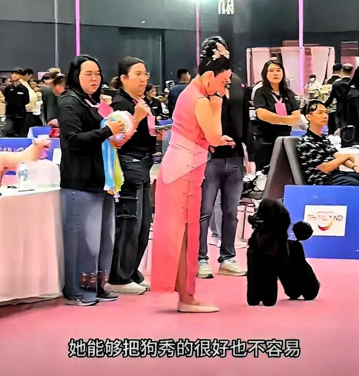 看到霍思燕亲自牵着狗拿下冠军，说实话，我第一反应不是羡慕，是感慨。当年看《贫嘴张