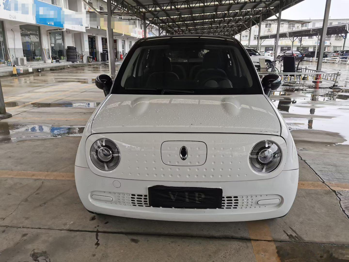 欧拉黑猫 续航301km 20年11月上牌 21款301km基础版 7万多公里 