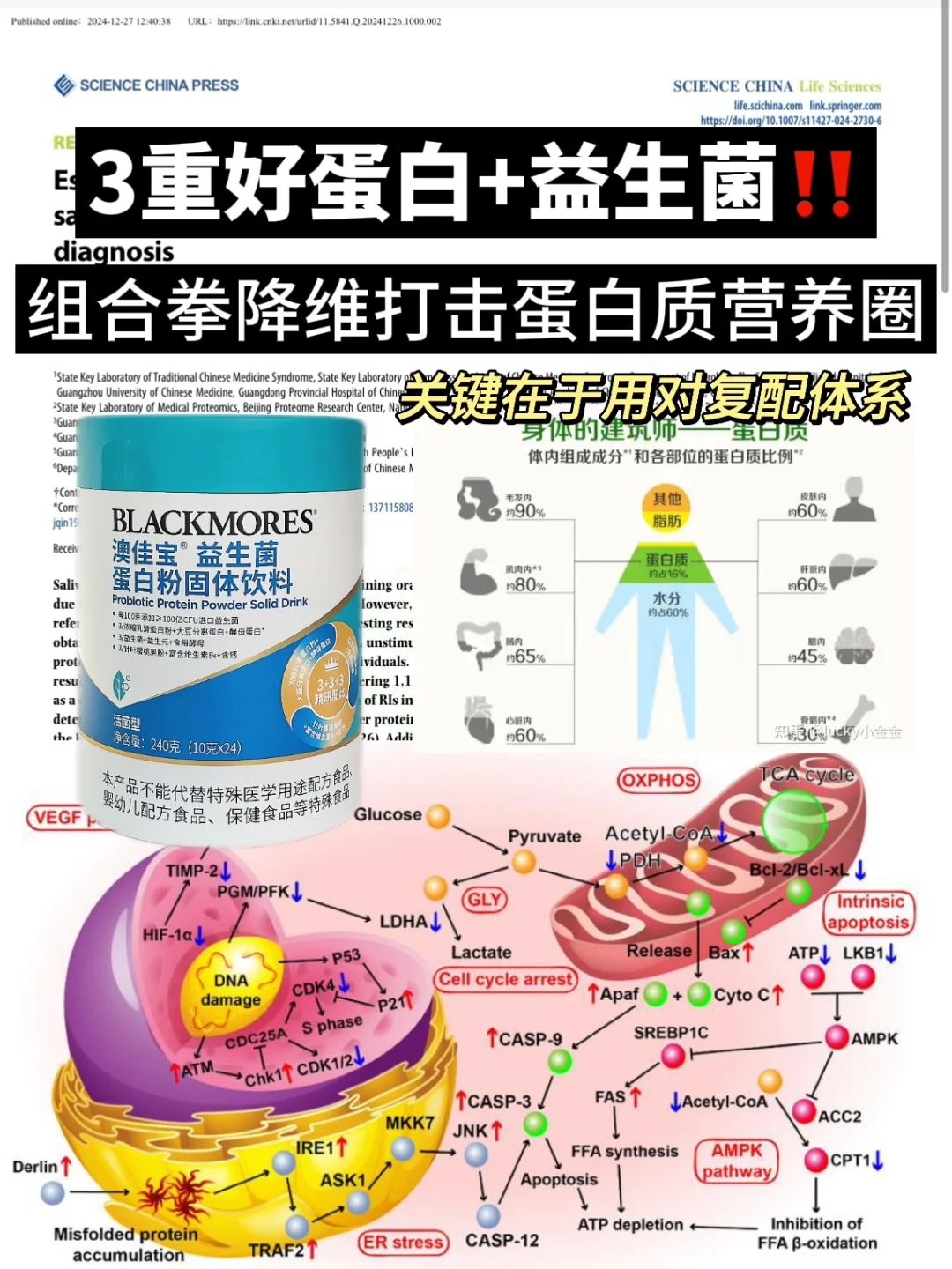 组合拳复配蛋白粉⚡强力吸走low状态！