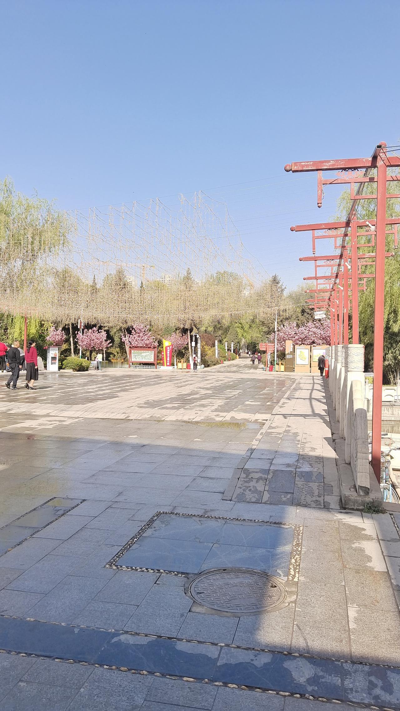 阳光明媚的日子里，去公园散步简直不要太舒服。就像东郊公园，绿树成荫，是个超棒的散