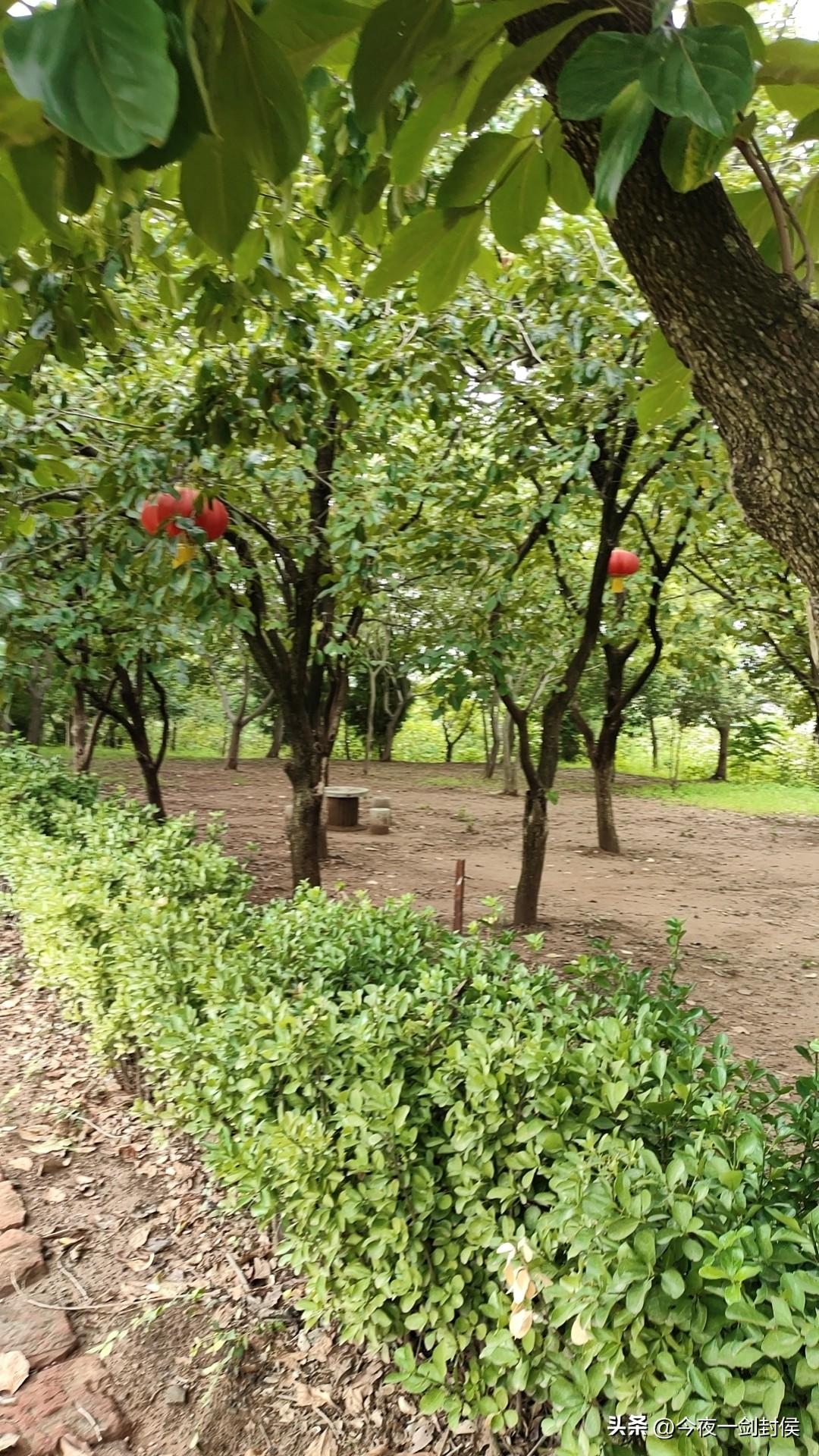分手是否可以很优雅？
可是我总是有些拖泥带水，昨天晚上做梦又梦见了她！
梦里大雨