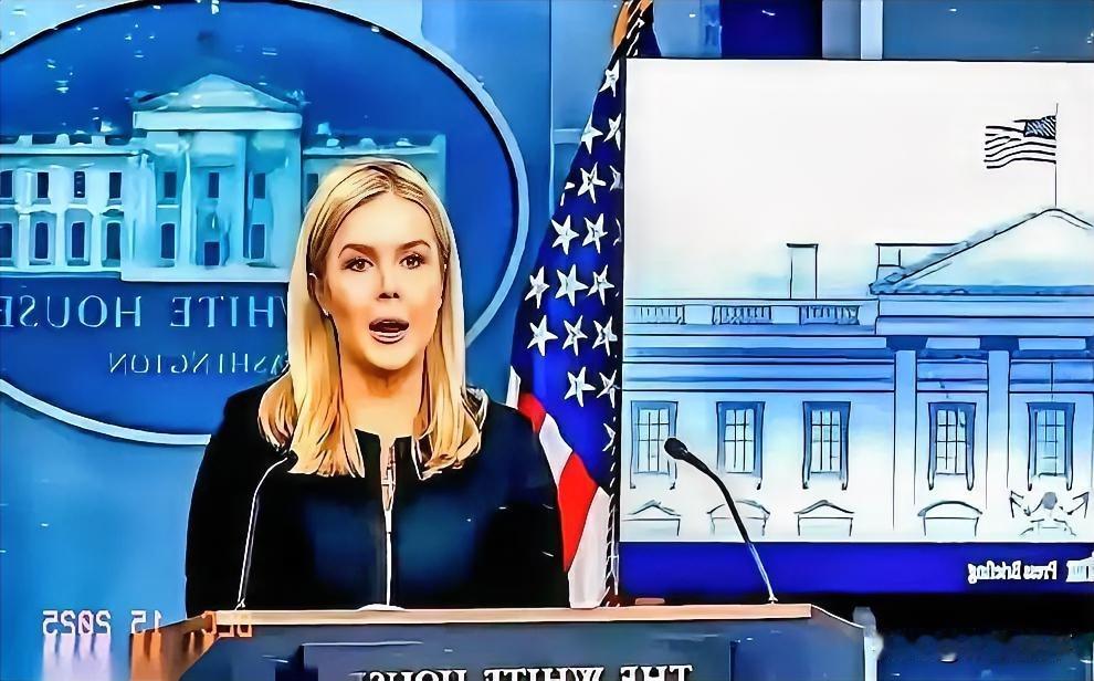 大家发现没
全网都知道，
美国急疯了！
满心欢喜想把芯片高价卖给我们，
没想到咱