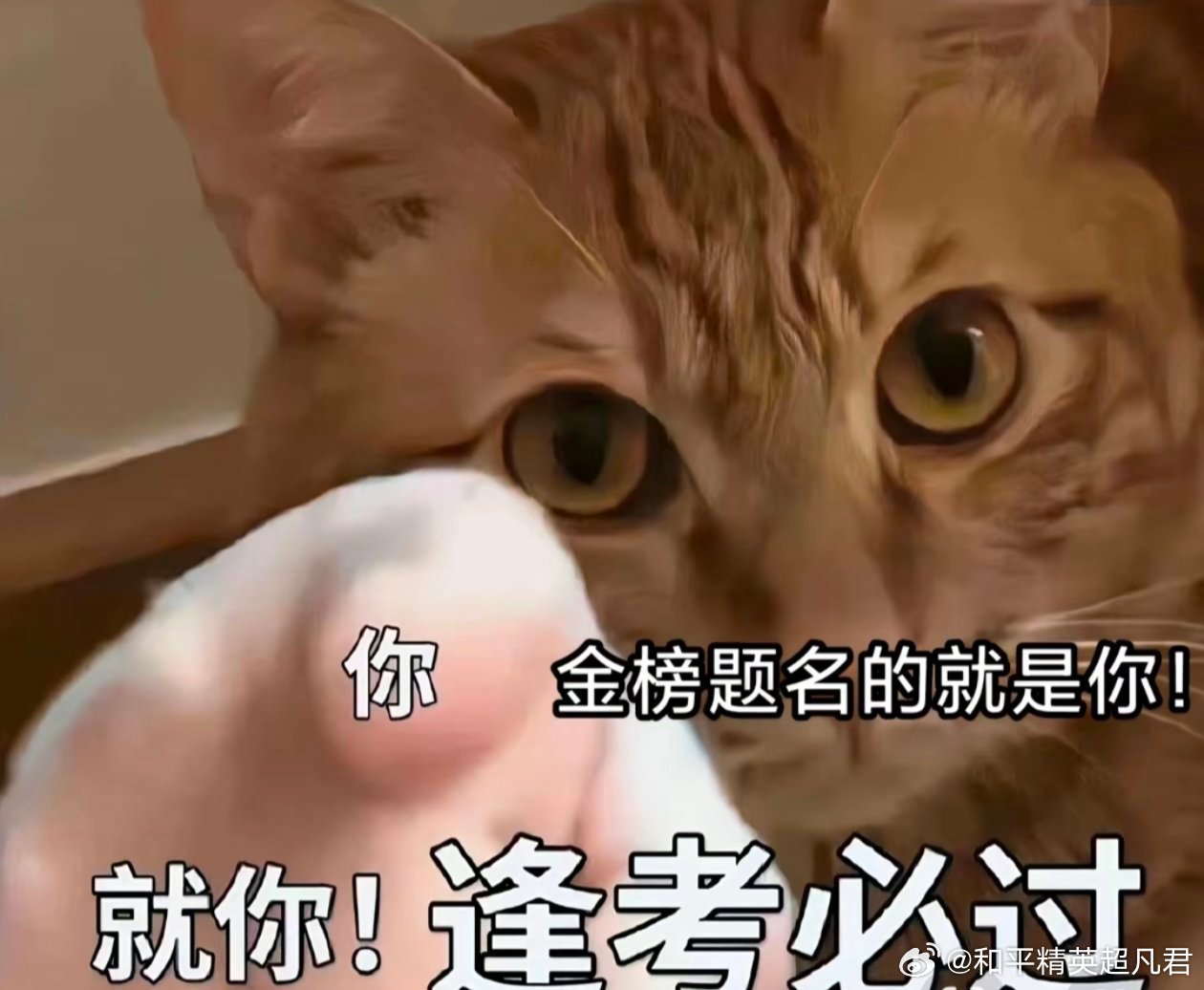 又是一年高考季，小凡在这里祝高考考生们，考的全是复习的，考的全会，蒙的全对！金榜