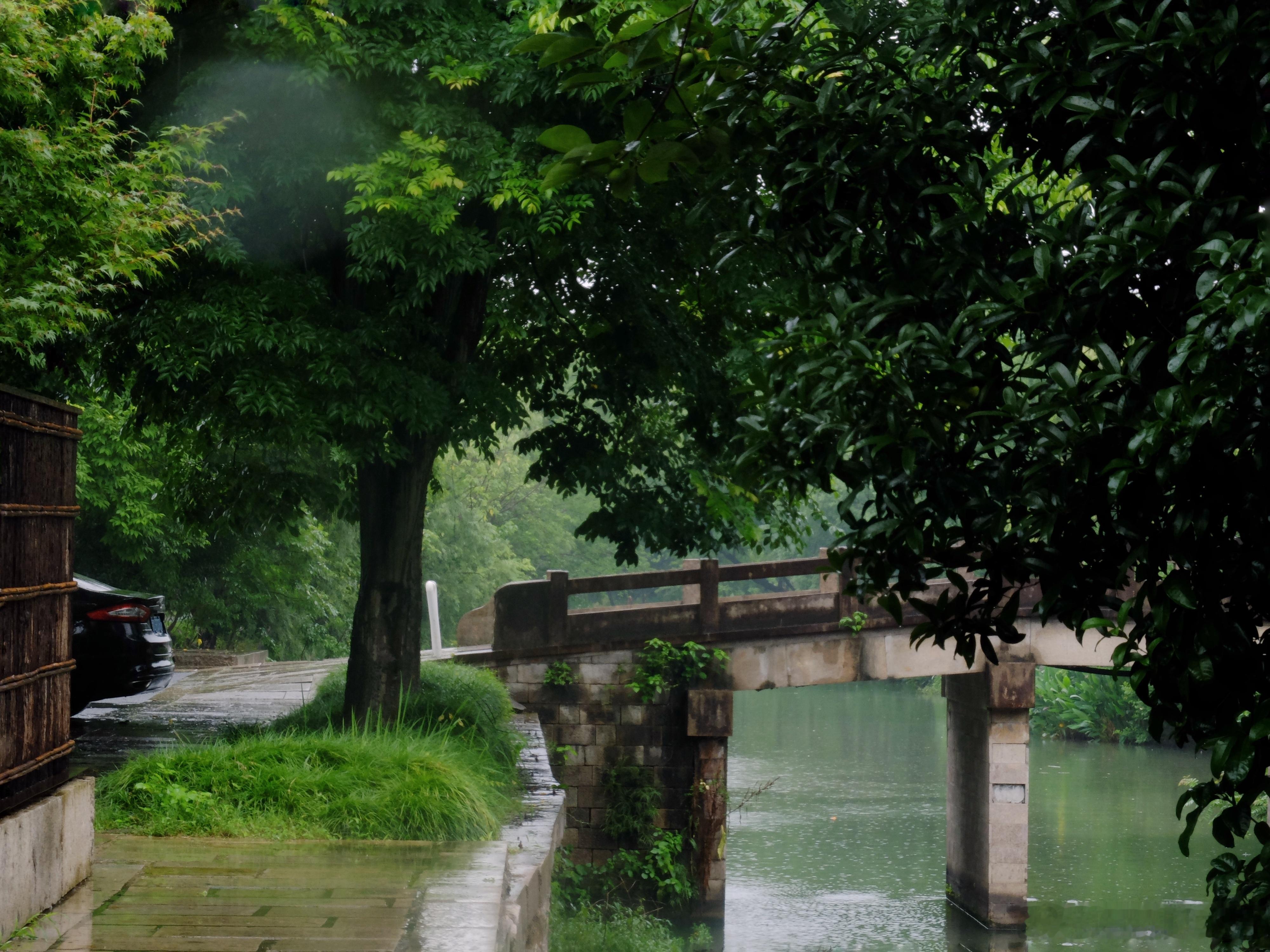 昨日夏至🌧️ 